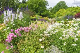 47 gorgeous perennial garden ideas