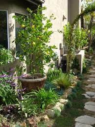 Narrow Side Yard Makeover Eden