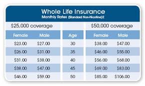 Express term is a simplified issue, or no medical exam, term life insurance policy. Aaa Life Insurance Quote Quotes About Life