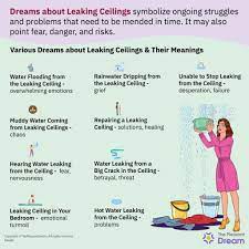 dreams about leaking ceilings an