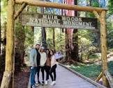 Muir Woods Tour - Spark Experiences