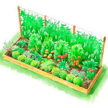 Backyard Vegetable Garden Planning