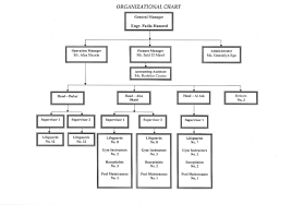 Organizational Chart Elite Sports Contracting And Services