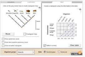 Dna profiling gizmo answer key quizlet + my pdf collection. Cladograms Gizmo Answers Quizlet