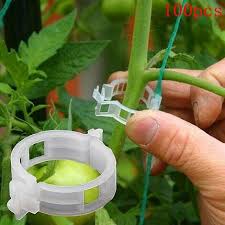 100pcs Vegetable Garden Plant Support