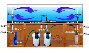 Basic Saltwater Aquarium Set Up Marine Tank Diagrams Equipment