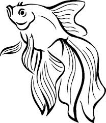 Betta fish coloring pages are a fun way for kids of all ages to develop creativity, focus, motor skills and color recognition. Beta Fish Coloring Page Coloring Page Book For Kids