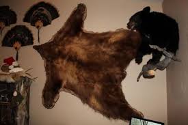 bear rug ideas black bear or grizzly