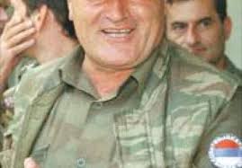 EU suspends talks with Serbia over Mladic