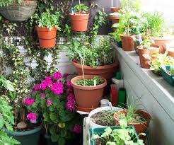 35 Best Terrace Gardening Ideas