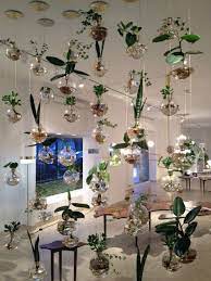 plant decor indoor hanging glass planters