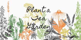 Plant A Tea Garden Diy Herbal Tea