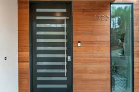 75 modern single front door ideas you