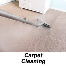 carpet cleaning hamilton s unlimited llc
