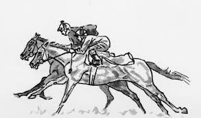 Image result for What is the point in having bloodhorse illiterate people to mind racehorses in training?