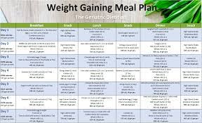 free weight gaining meal plan the