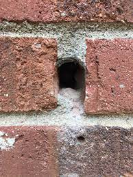 Fill holes in Brick & Mortar - Home Improvement Stack Exchange