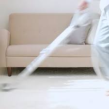 top 10 best carpet cleaner als in