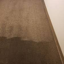 carpet cleaning in petaluma ca