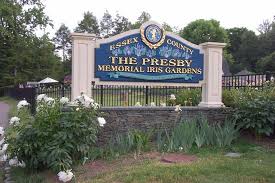 presby iris garden picture of presby