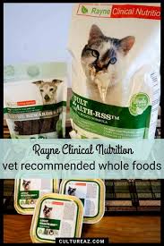 pet food to vet recommended whole foods