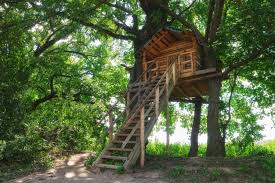Tree House Ideas Ever For Grown Kids