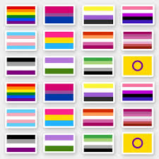 View a comprehensive listing of the resources available for lgbt individuals, their families and their allies at johns hopkins medicine. Flags Of The Lgbtq Pride Movements Sticker Zazzle Com