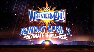 We did not find results for: Wrestlemania 33 Match Card Predictions