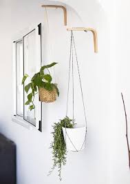 Hanging Plants Indoor Plant Decor Indoor
