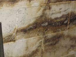 Basement Mold In Lancaster Oh