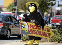Own a fiesta auto insurance & tax services franchise, the leading latino business opportunity with multiple revenue streams and a proven model. Max The Bird Entertains For Business Fun Lompoc Lompocrecord Com