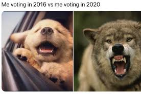 meme compares how people feel voting in