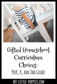 gifted homeing curriculum choices