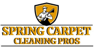 spring carpet cleaning pros