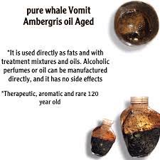 vine pure aged ambergris whale