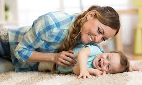 professional dry carpet upholstery