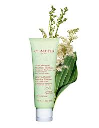 clarins purifying gentle foaming