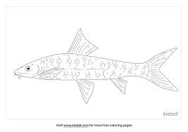 This article will be judged by what is written as a justification and may be deleted or rewritten if the justification does not adhere to the color sorting policies.this color. Siamese Algae Eater Coloring Pages Free Animals Coloring Pages Kidadl
