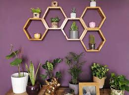 Woman Shows Off The Honeycomb Shelves