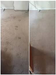1 carpet cleaning in queens ny