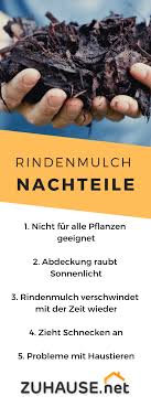 Für sonnenliebende stauden ist der saure rindenmulch aus. Rindenmulch Nachteile Zuhause Net