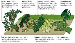 vegetable garden layouts planning a