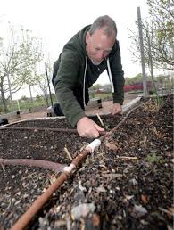 7 Ways To Grow A Vegetable Garden With