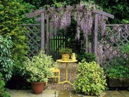 Pergola Plants What Are The Best