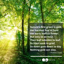 TalkDeath on Twitter: "Robert Frost perfectly captures that nexus between Spring, new life, and death. #NationalPoetryMonth https://t.co/9Dhg8NtNg5" / Twitter