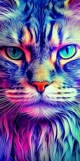 Colorful Cat Wallpaper Myphonewalls
