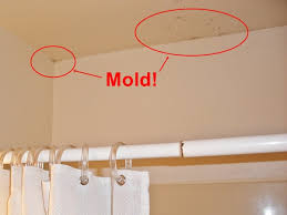 Black Mold Removal And Prevention In