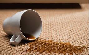 oshkosh carpet stain remover oshkosh