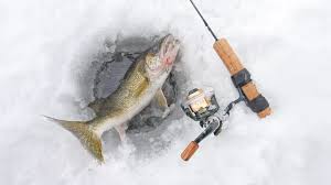 Ice Fishing For Walleye Best Jigs