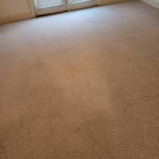 premier plus carpet upholstery care